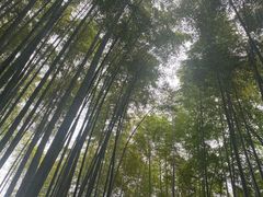 -杭州黄龙洞
