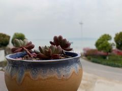 -美味之家·湖景农家乐(太湖东山店)