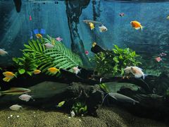 -秦皇岛新澳海底世界