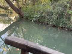 -摇橹船上船码头