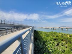 -海堤纪念公园