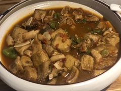 -滇铺子·云南特色菜·第九届野生菌美食节(东风东路c86店)