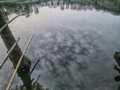 -重庆彩云湖湿地公园