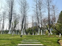 -天鹅湖体育公园