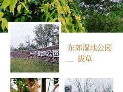 -东郊湿地公园