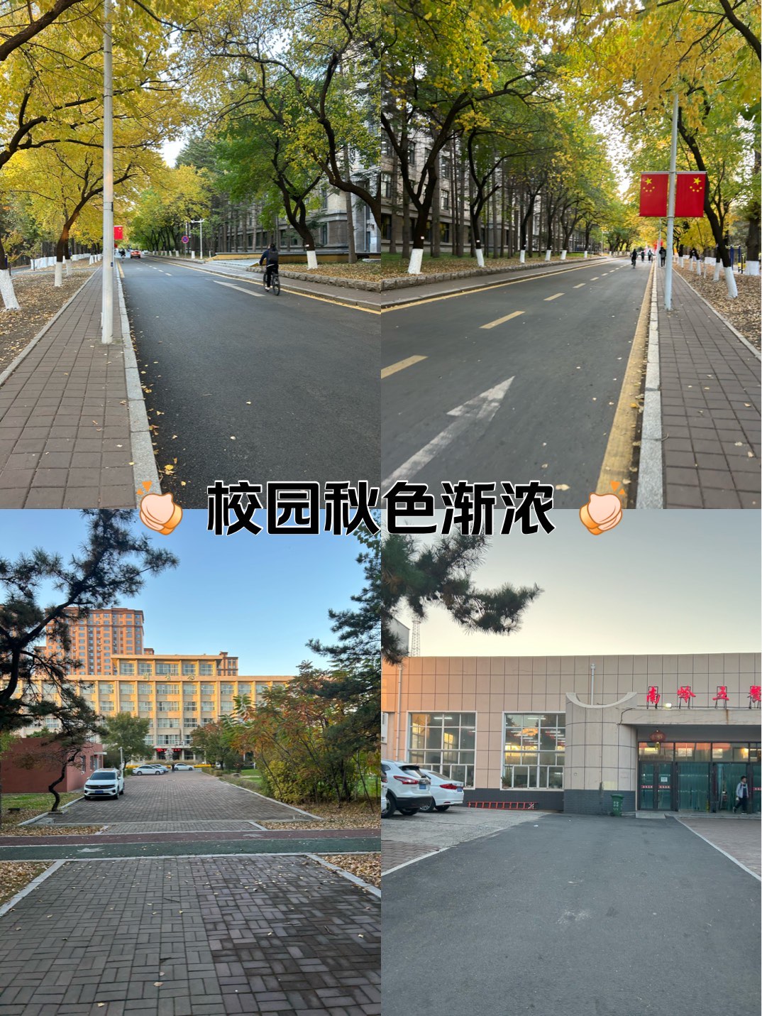 吉林大学南岭校区大虾图片