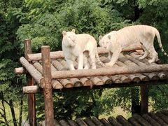 -济南野生动物世界