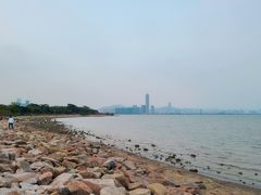 -深圳湾公园(南山区)