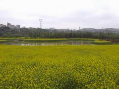 -贵阳市花溪国家城市湿地公园