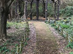 -汉拿树木园