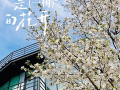 -智慧湾科创园
