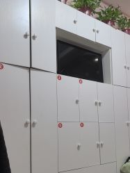 -香薇妮丝·定制减肥·身材管理