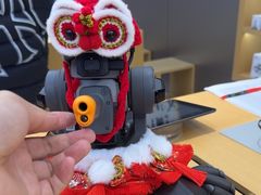 -DJI大疆(深圳华强北曼哈授权体验店)