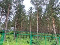 -塞罕坝国家级自然保护区