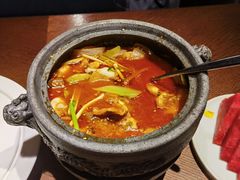 荥经砂锅蛙血旺-映水芙蓉(长宁来福士店)