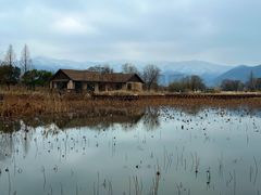 -长兴太湖图影湿地文化园