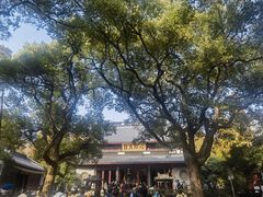 -岳王庙