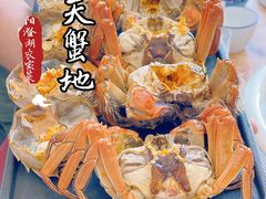 -蟹天蟹地农家菜·阳澄湖大闸蟹(浅水湾店)