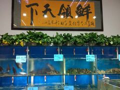 -鑫悦楼煎蟹·16年海鲜大排档