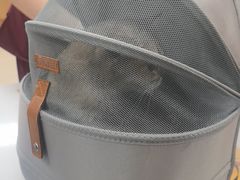 -美联众合动物医院·24h京西诊疗中心