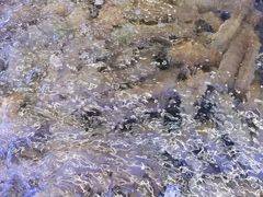 -大润发(芜湖店)