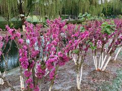 -白塘生态植物园