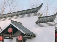 -合肥滨湖国家森林公园