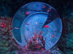 -沈阳海洋探索中心