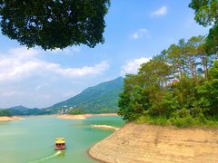 -广州市流溪河国家森林公园