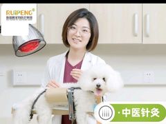 -宠颐生斯嘉宠物医院·急重症·心内科(谷阳北路分院)