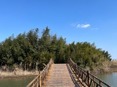 -沙家浜风景区