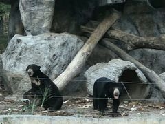 -清迈夜间动物园