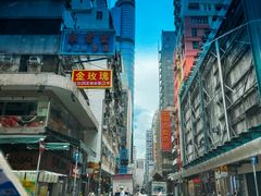 -油麻地果栏
