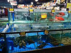 -绿雅居原生态农庄(小涌店)