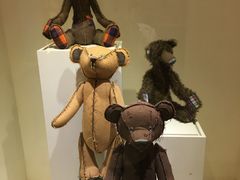 -济州岛泰迪熊博物馆