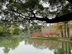 -晓港公园