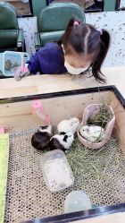 -神奇动物撸宠馆·羊驼·小浣熊·异宠(豫园店)