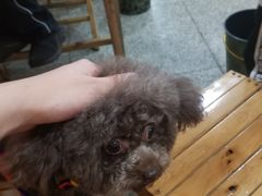 -厕所串串(文殊院店)