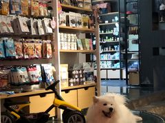 -百好乐宠物友好餐厅(朝外大街店)