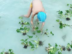 -莆田亚特湾水上乐园(原水上欢乐谷)