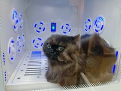 -PETKIT 小佩宠物·低压洗护·美容·寄养(安远店)