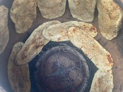 -杨家牛肉汤(淮建路店)
