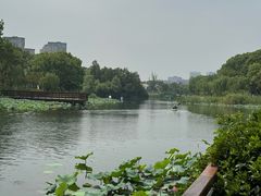 -新江湾城公园