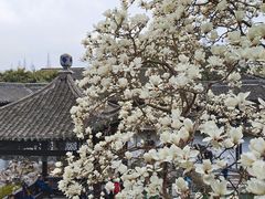 -何园