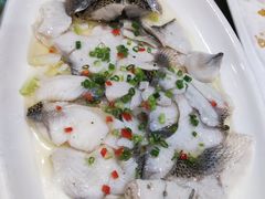 -暖见鱼·自家农场生态鱼