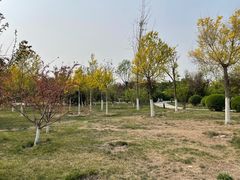 -水西公园