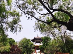 -莲花池公园