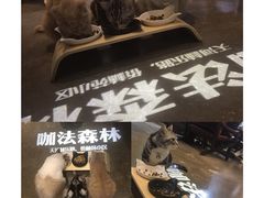 -咖法森林·咖啡  酒吧(天河店)