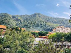 -深圳仙湖植物园