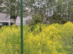 -南京医科大学(江宁校区)